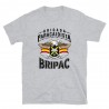 BRIPAC Mod.49 Brigada Paracaidista Desperta Ferro Triunfar o Morir