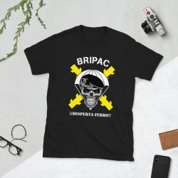 BRIPAC Mod.57 Brigada Paracaidista Desperta Ferro Triunfar o Morir