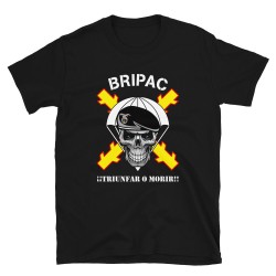 BRIPAC Mod.58 Brigada Paracaidista Desperta Ferro Triunfar o Morir