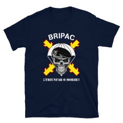 BRIPAC Mod.58 Brigada Paracaidista Desperta Ferro Triunfar o Morir