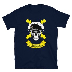 BRIPAC Mod.64 Brigada Paracaidista Desperta Ferro Triunfar o Morir