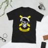 BRIPAC Mod.64 Brigada Paracaidista Desperta Ferro Triunfar o Morir