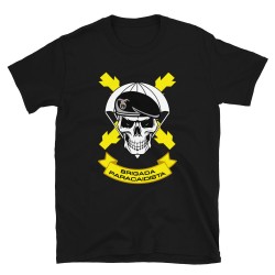BRIPAC Mod.64 Brigada Paracaidista Desperta Ferro Triunfar o Morir