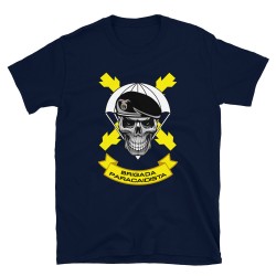 BRIPAC Mod.66 Brigada Paracaidista Desperta Ferro Triunfar o Morir