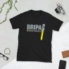 BRIPAC Mod.70 Brigada Paracaidista Desperta Ferro Triunfar o Morir