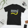 BRIPAC Mod.71 Brigada Paracaidista Desperta Ferro Triunfar o Morir