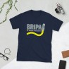 BRIPAC Mod.71 Brigada Paracaidista Desperta Ferro Triunfar o Morir