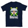 BRIPAC Mod.79 Brigada Paracaidista Desperta Ferro Triunfar o Morir