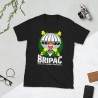 BRIPAC Mod.79 Brigada Paracaidista Desperta Ferro Triunfar o Morir