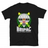 BRIPAC Mod.79 Brigada Paracaidista Desperta Ferro Triunfar o Morir