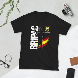 BRIPAC Mod.80 Brigada Paracaidista Desperta Ferro Triunfar o Morir