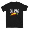 BRIPAC Mod.81 Brigada Paracaidista Desperta Ferro Triunfar o Morir